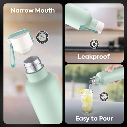 Pexpo Oslo Thermo Steel Bottle | Tri-Ply Vacuum Insulated Hot & Cold Flask | For Daily Use - Pastel Edition