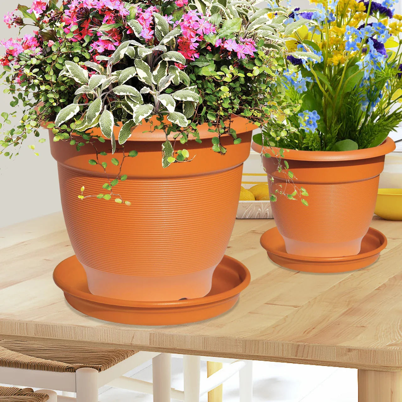 Milton Blossom Mate Tray 3 Terracotta Brown