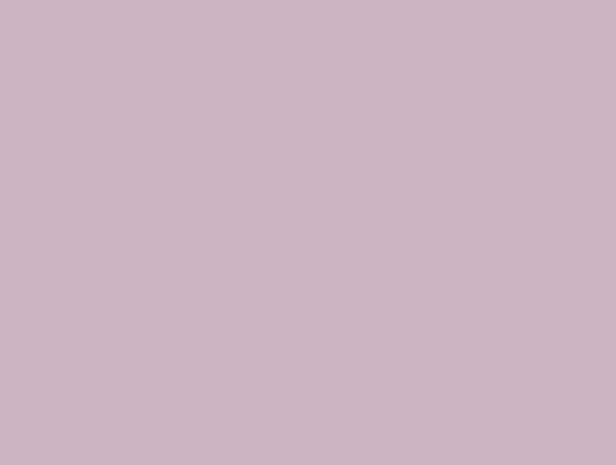 Spaces Solid Lilac - Light Violet Hygro Cotton Double Duvet Cover - Hygro