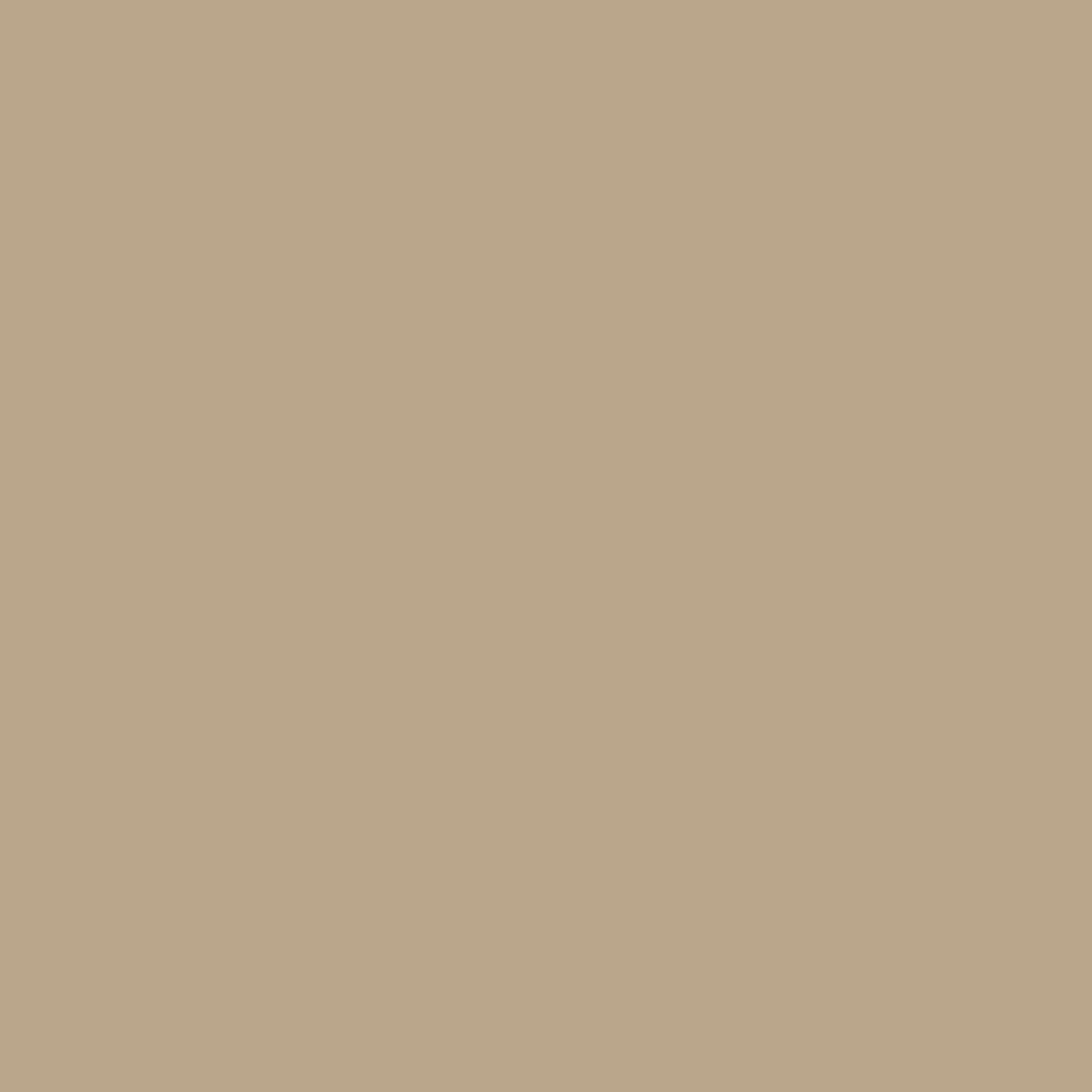 Spaces Hygro Solid Taupe-Brown Cotton Single Duvet Cover