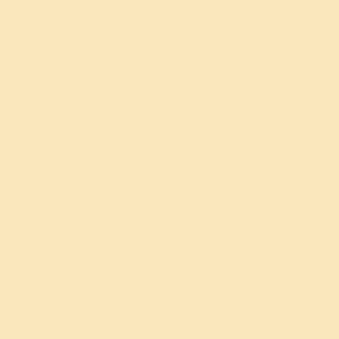 Spaces Solid Cream - Light Yellow Hygro Cotton Single Duvet Cover - Hygro