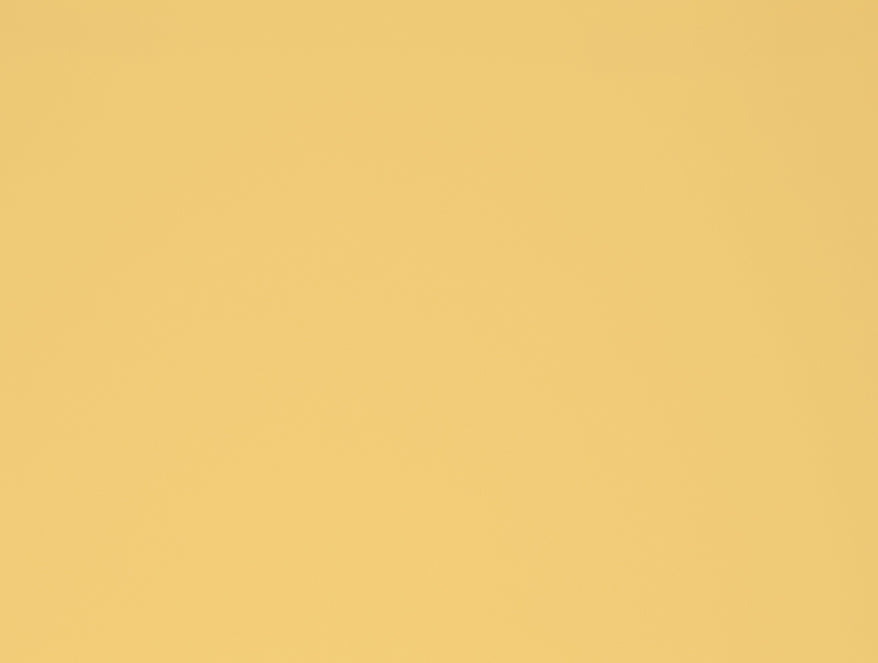 Spaces Solid Yellow 100% Cotton King Size Bedsheet - Essentials by Spaces