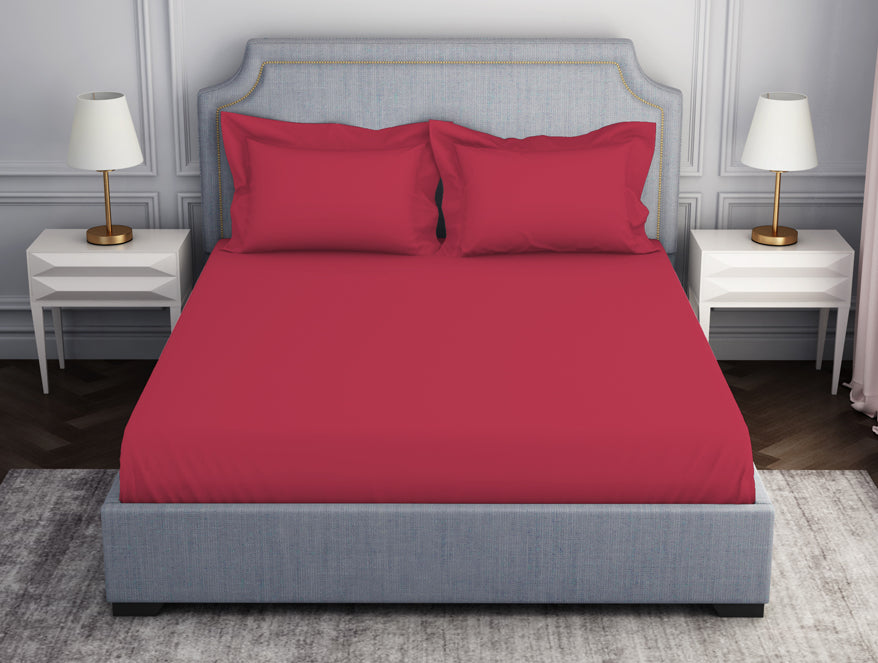 Spaces Solid Dark Red 100% Cotton Fitted Queen - Essentials by Spaces