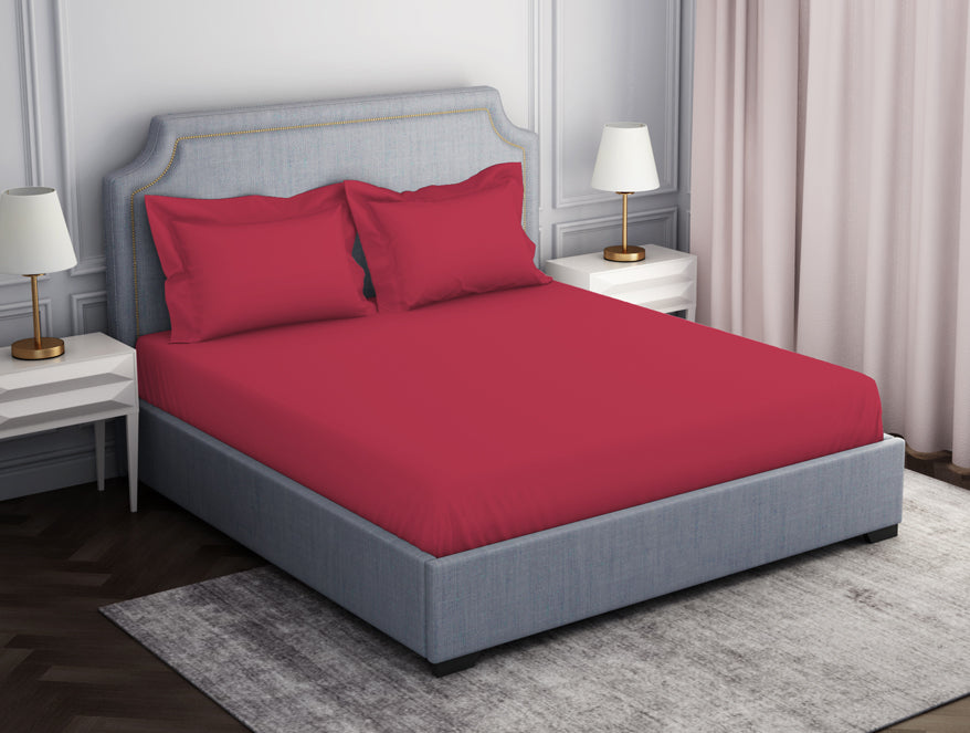 Spaces Solid Dark Red 100% Cotton Fitted Queen - Essentials by Spaces