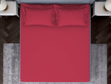 Spaces Solid Dark Red 100% Cotton Fitted Queen - Essentials by Spaces