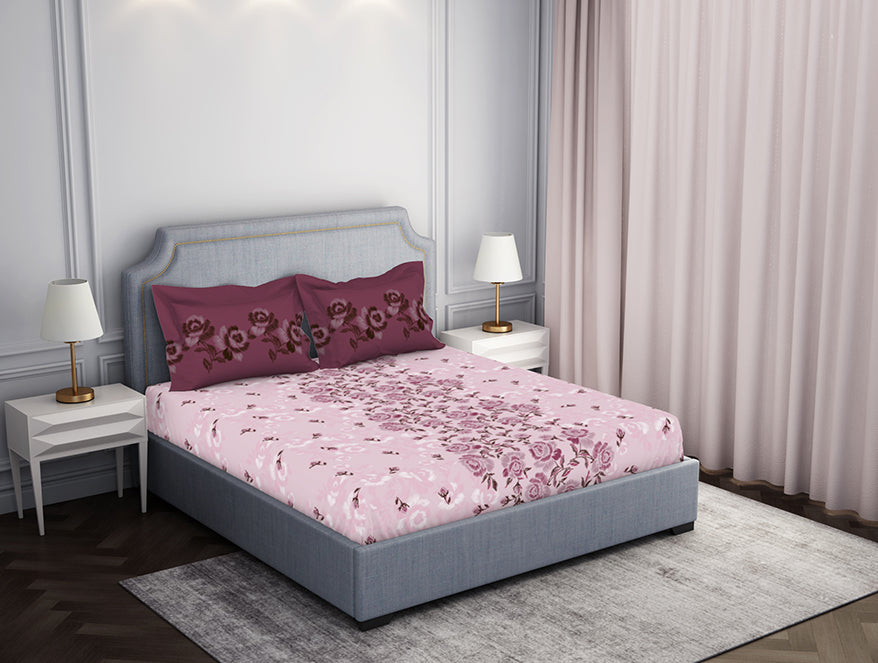 Spaces Blush Pink 100% Cotton Bedsheet Atrium