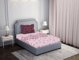 Spaces Blush Pink 100% Cotton Bedsheet Atrium