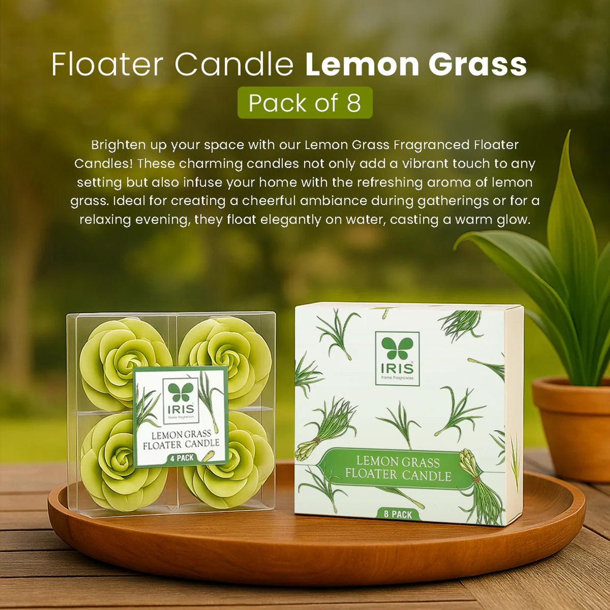 IRIS Lemon Grass Floater Candle 20GM