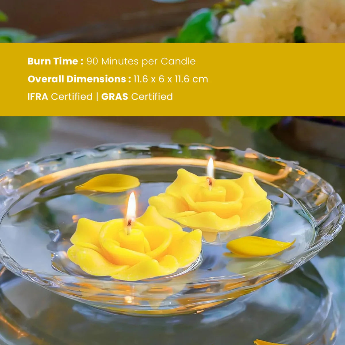 IRIS Frangipani Floater Candle  20GM