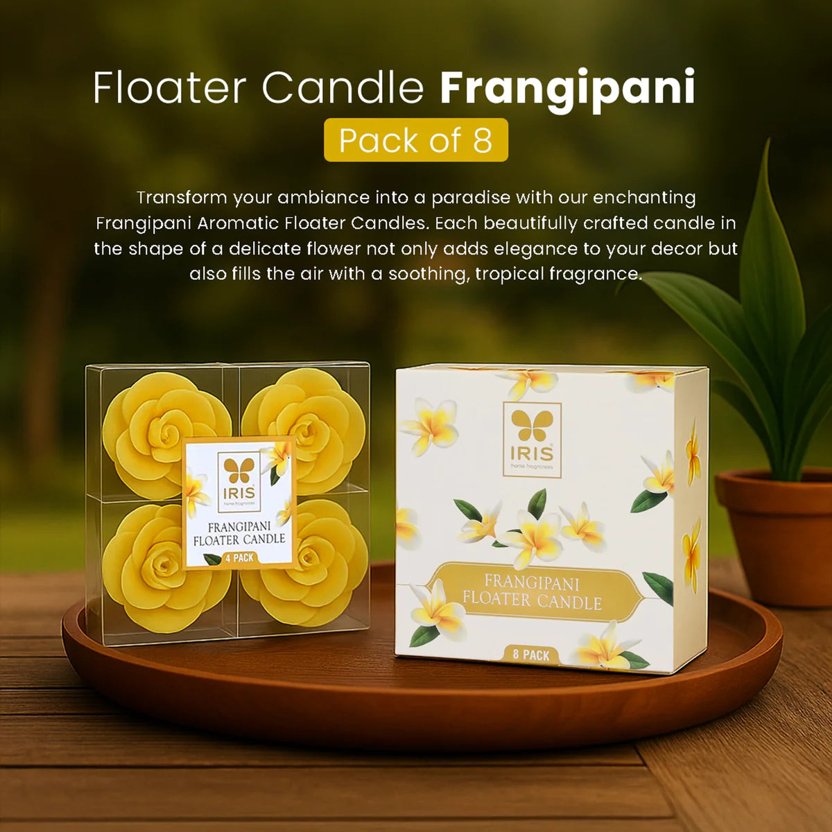 IRIS Frangipani Floater Candle  20GM