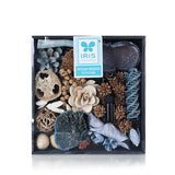 IRIS Fragrance Potpourri- Ocean Breeze 5ml