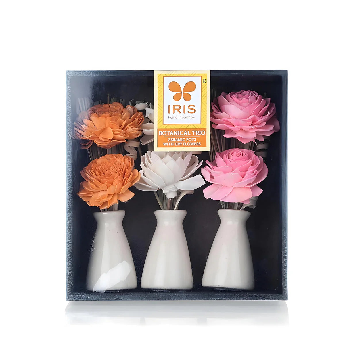 IRIS Botanical Trio 20 cm