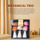 IRIS Botanical Trio 20 cm