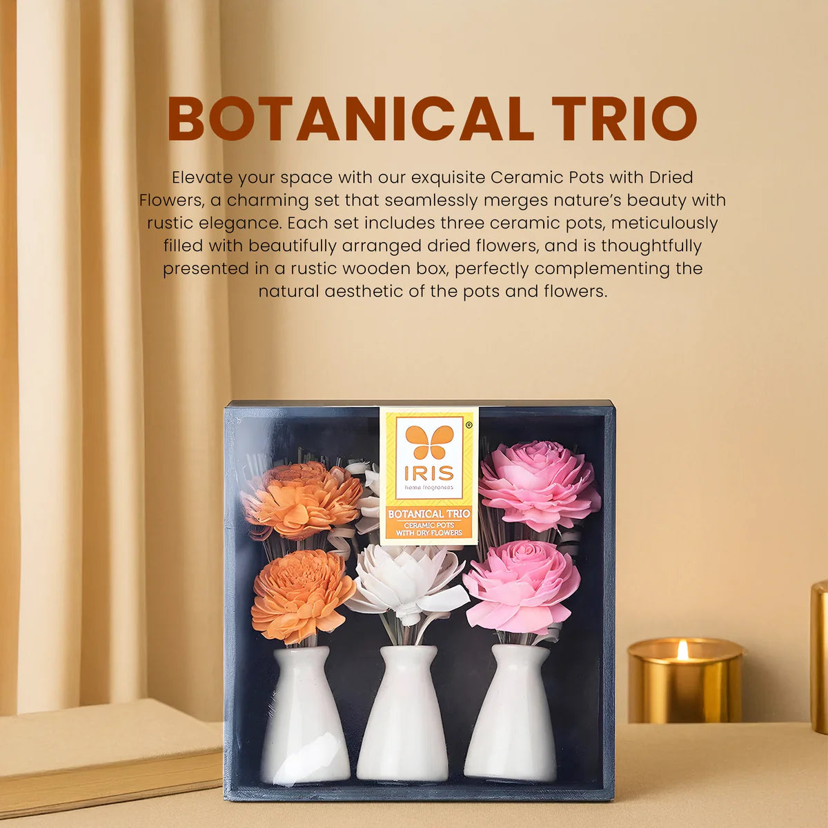 IRIS Botanical Trio 20 cm