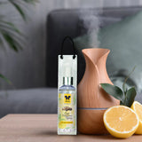 IRIS Citric Tango Car Spray 100ML