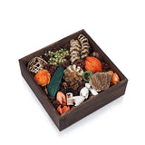 IRIS Fragrance Potpourri- Tangy Orange 5ML