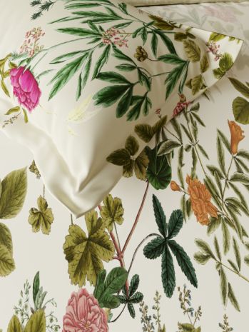 Decor Cardinal Faded Rose Primary Double Bed Sheet Set