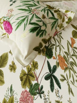 Decor Cardinal Faded Rose Primary Double Bed Sheet Set