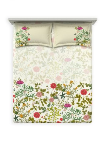 Decor Cardinal Faded Rose Primary Double Bed Sheet Set