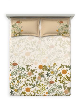 Decor Cardinal Golden Brown Primary Double Bed Sheet Set