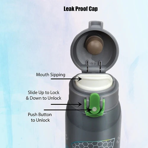 Probott Champ water bottle Gray 230ml