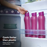 Pexpo Belly SS Water Bottle 750ML