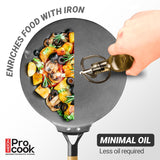 Milton Cast Iron Concave Tawa with Enamel Coating