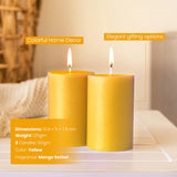 IRIS Mango Sorbet Fragranced Pillar Candles 120gm