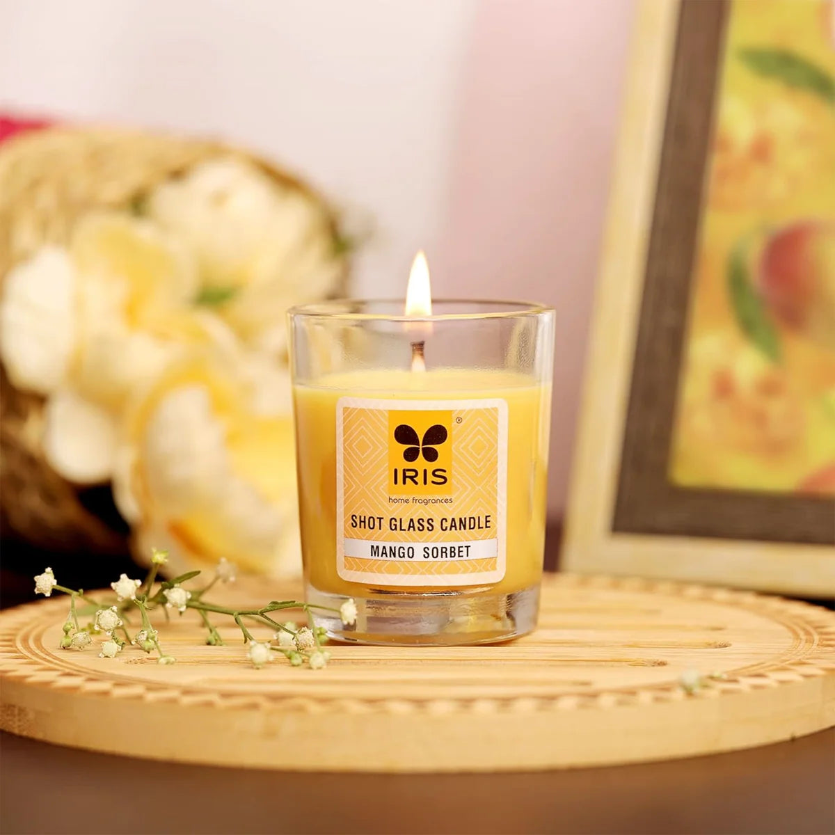 IRIS Shot Glass Candle - Mango Sorbet 40gm