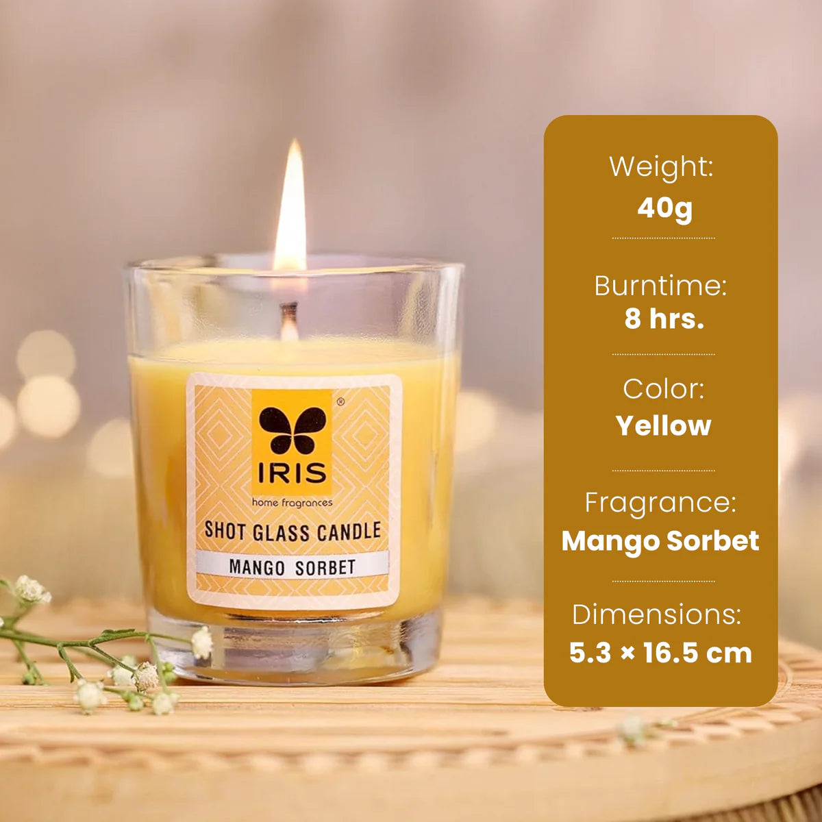 IRIS Shot Glass Candle - Mango Sorbet 40gm