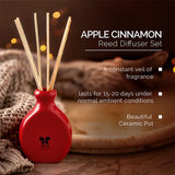 IRIS Apple Cinnamon Reed Diffuser 45ml