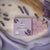Lavish Lavender