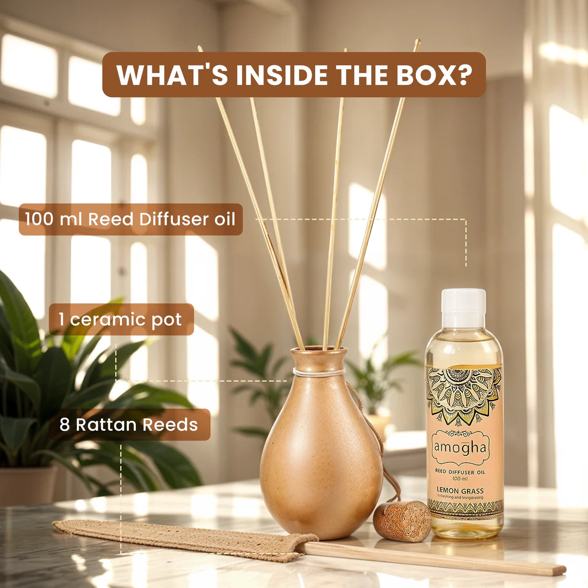 IRIS Amogha Lemon Grass Reed Diffuser Set 100ml