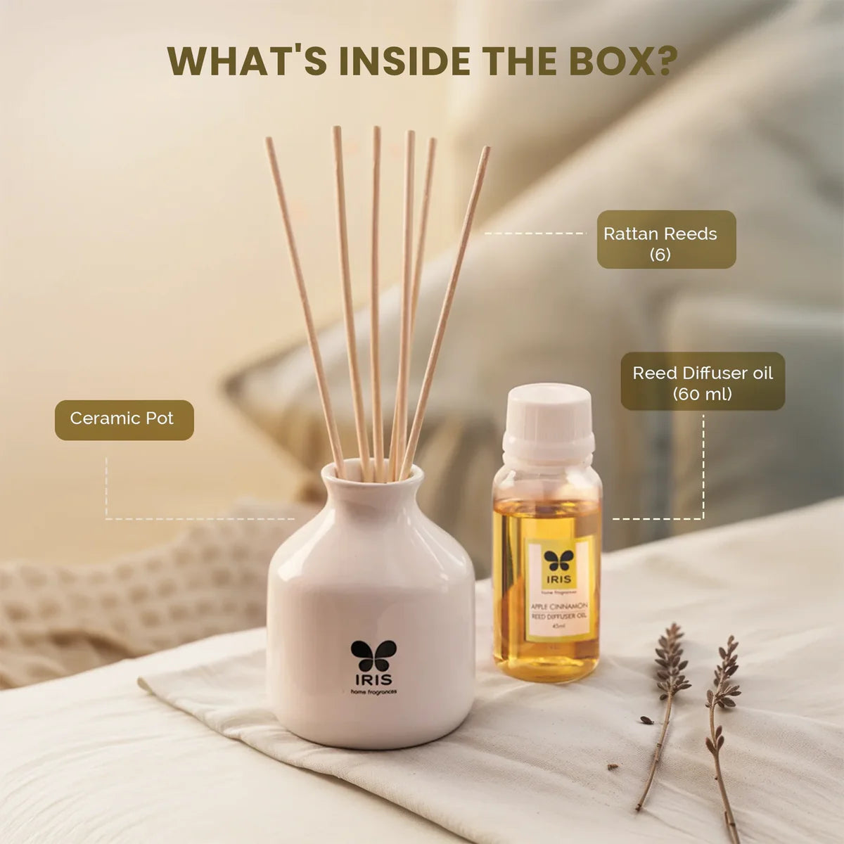 IRIS Apple Cinnamon Reed Diffuser Set 60ml