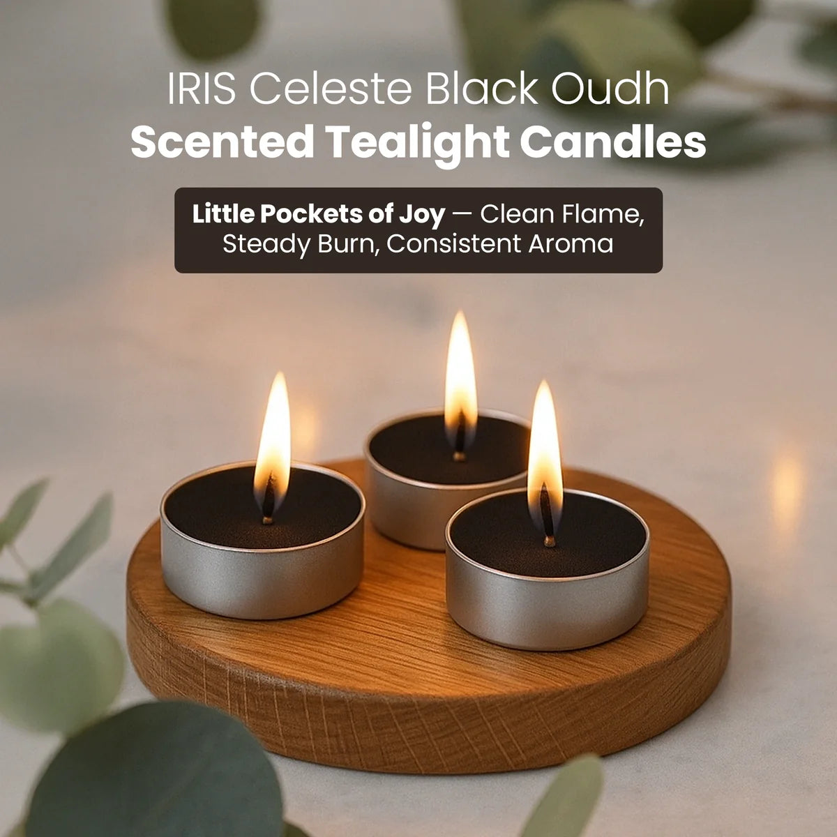 IRIS Celeste Black Oudh Scented Tealight Candles 12GM
