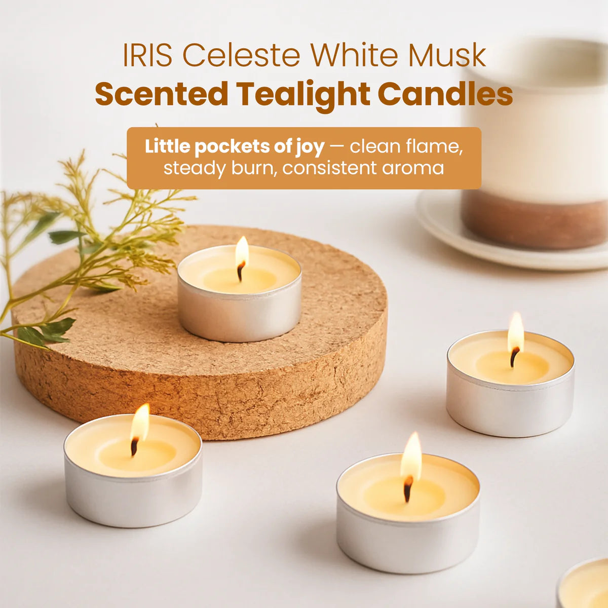 IRIS Celeste White Musk Scented Tealight Candles 12GM