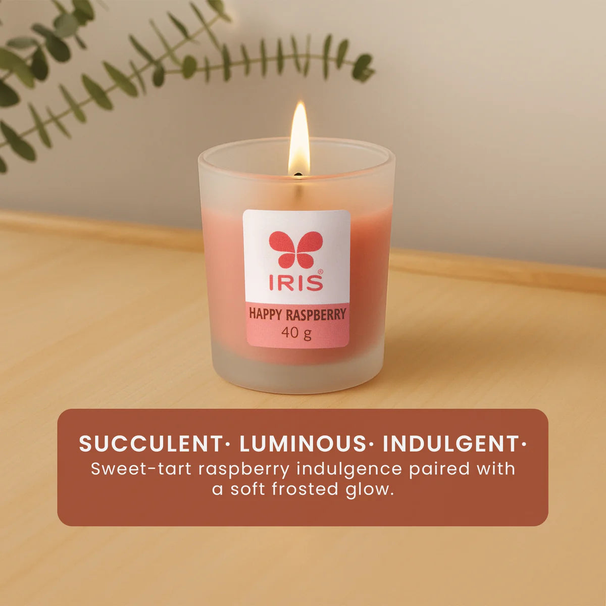 IRIS Happy Raspberry Frosted Shot Glass Scented Candle 40gm