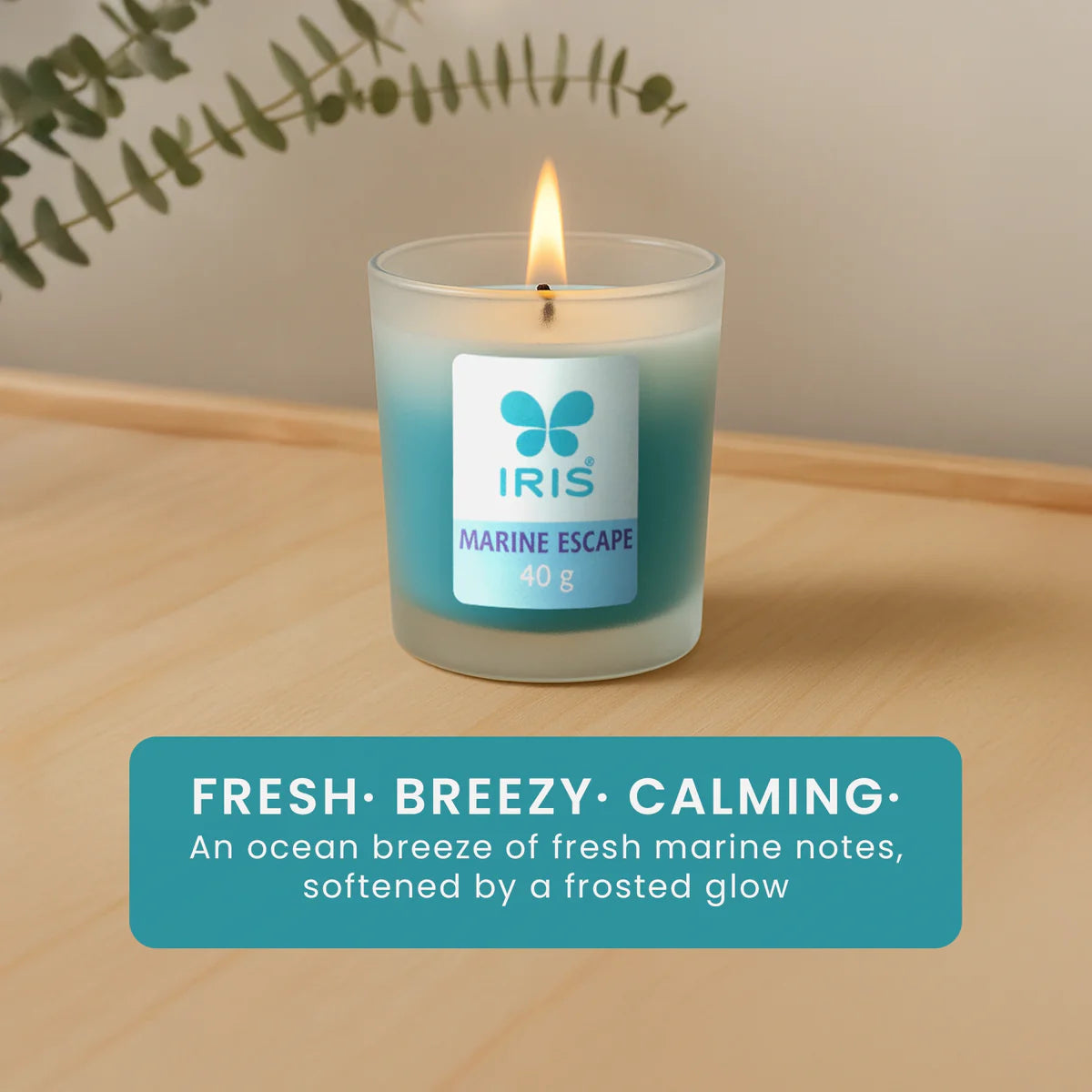 IRIS Marine Escape Frosted Shot glass scented Candle 40gm