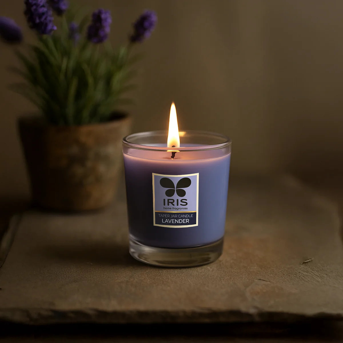 IRIS Lavender Taper Jar Candle 110GM