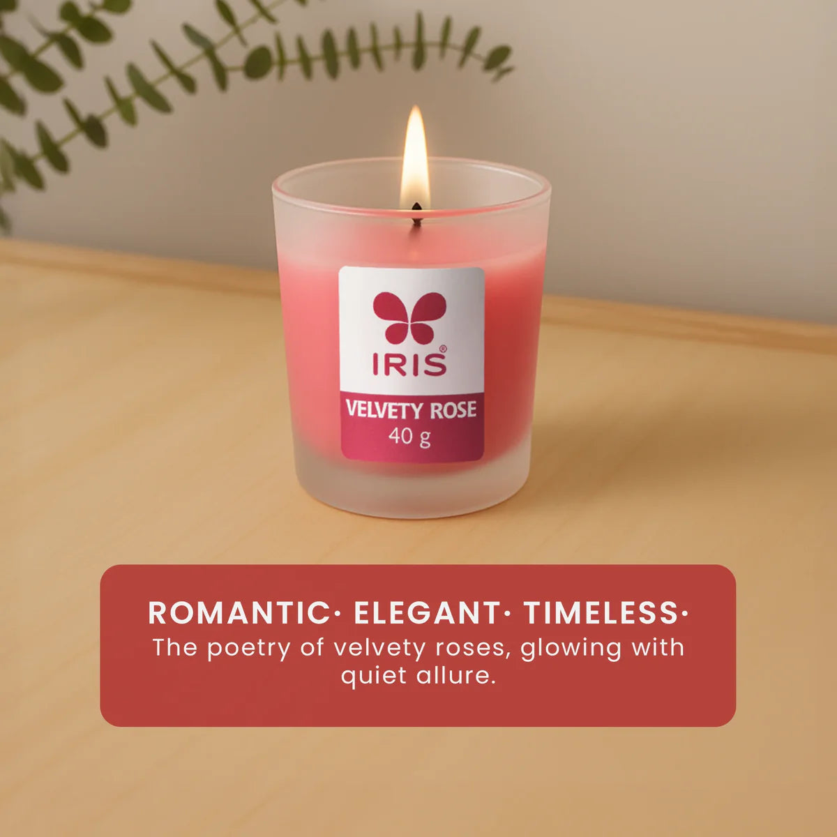 IRIS Velvety Rose Frosted Shot glass scented candle 40gm