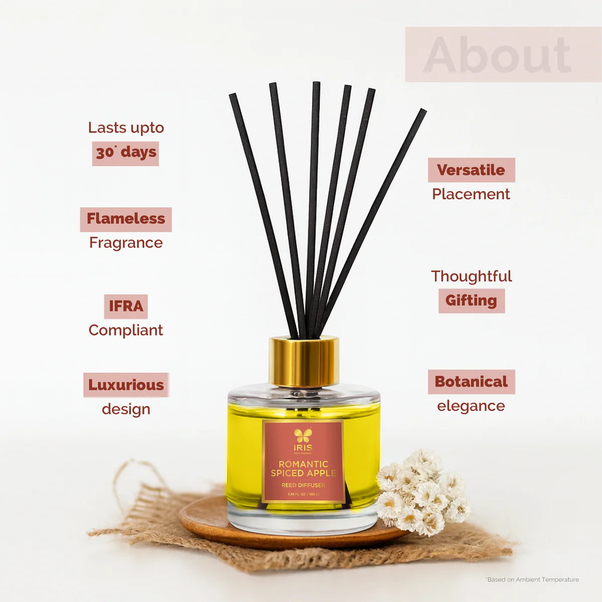 IRIS Spiced Apple Aroma Reed Diffuser Set 100ml
