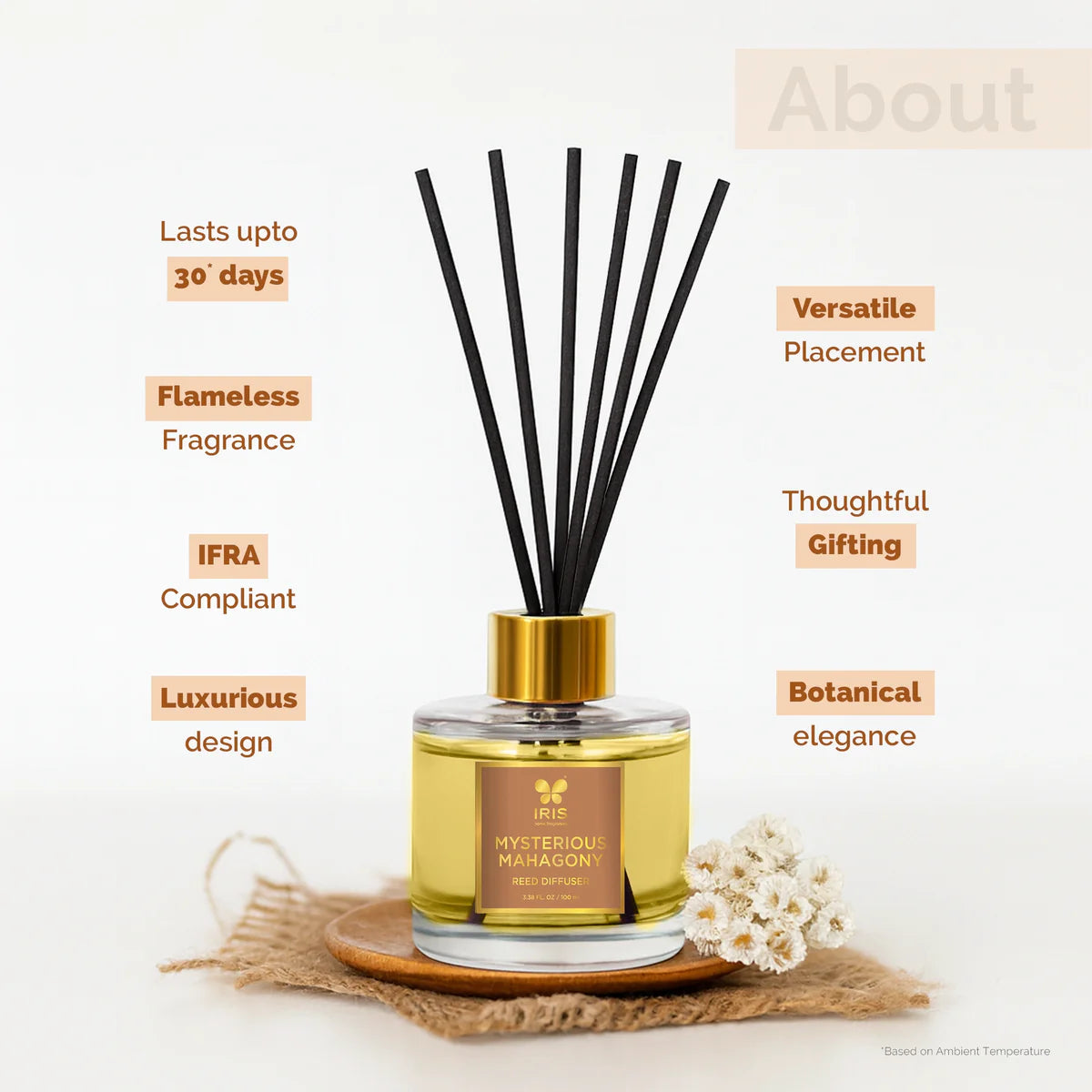 IRIS Mysterious Mahogany Aroma Reed Diffuser Set 100ml