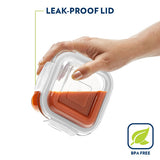 Borosil Eateasy Square Glass Lunchbox Set of 2, 320ml