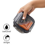 Borosil Larah Colormate Daisy Universal Lunch Box, Black Set of 4, 320ml x 2 + 240ml x 2