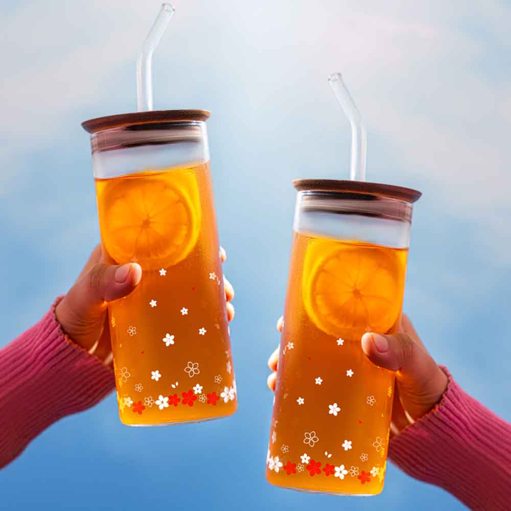 Borosil Spring Punch Glass Set of 2, 450ml