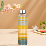 Borosil Neo Narrow Mouth Glance Glass Bottle 550ml - Silver Lid