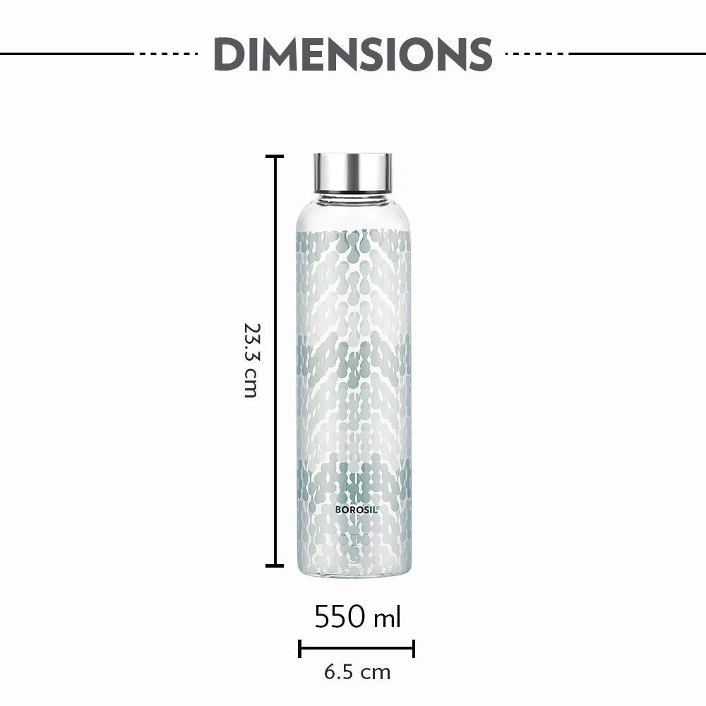 Borosil Neo Narrow Mouth Vista Glass Bottle 550ml - Silver Lid