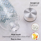 Borosil Neo Narrow Mouth Vista Glass Bottle 550ml - Silver Lid
