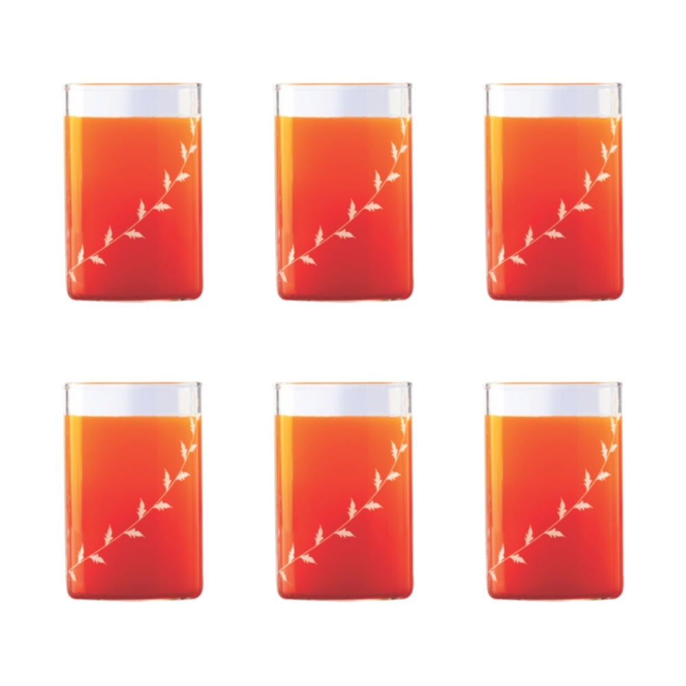 Borosil White Krip Glass Set of 6