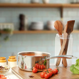 Borosil Cookfresh Triply Saucepan with Pouring Spout & Steel Handle